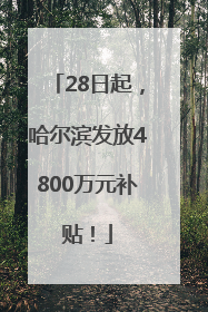 28日起，哈尔滨发放4800万元补贴！
