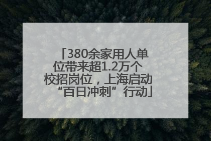 380余家用人单位带来超1.2万个校招岗位，上海启动“百日冲刺”行动