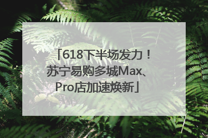 618下半场发力！苏宁易购多城Max、Pro店加速焕新