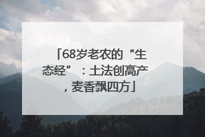 68岁老农的“生态经”：土法创高产，麦香飘四方