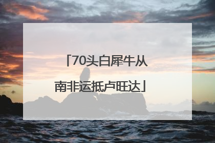 70头白犀牛从南非运抵卢旺达