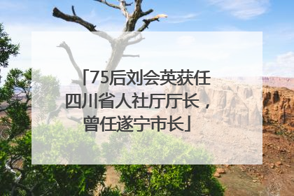75后刘会英获任四川省人社厅厅长，曾任遂宁市长