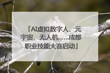 AI虚拟数字人、元宇宙、无人机……成都职业技能大赛启动