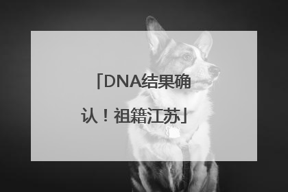 DNA结果确认！祖籍江苏