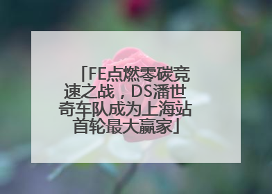 FE点燃零碳竞速之战，DS潘世奇车队成为上海站首轮最大赢家