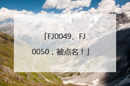 FJ0049、FJ0050，被点名！