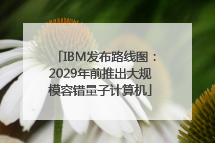 IBM发布路线图：2029年前推出大规模容错量子计算机