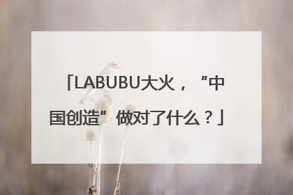 LABUBU大火，“中国创造”做对了什么？