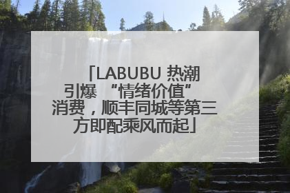 LABUBU 热潮引爆 “情绪价值” 消费，顺丰同城等第三方即配乘风而起