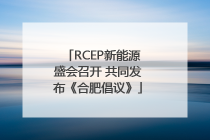 RCEP新能源盛会召开 共同发布《合肥倡议》